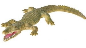 1croc