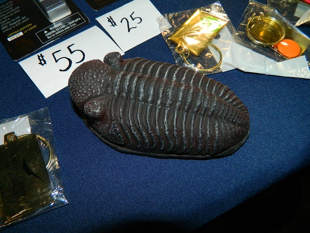 DSCN9767