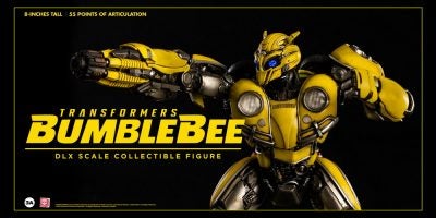 1bumblebee3A6