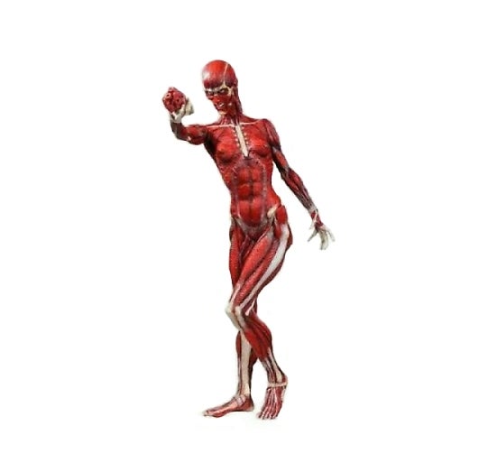 neca cenobites