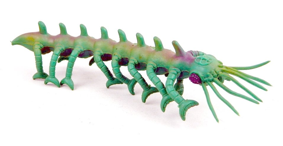 1worm