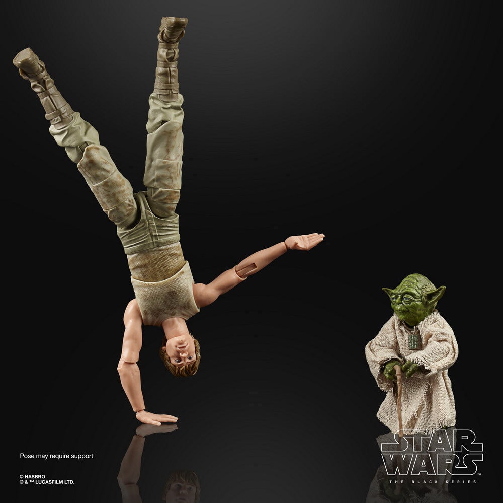 STAR WARS THE BLACK SERIES 6-INCH LUKE SKYWALKER AND YODA (JEDI TRAINING) DELUXE Figures - oop (2)