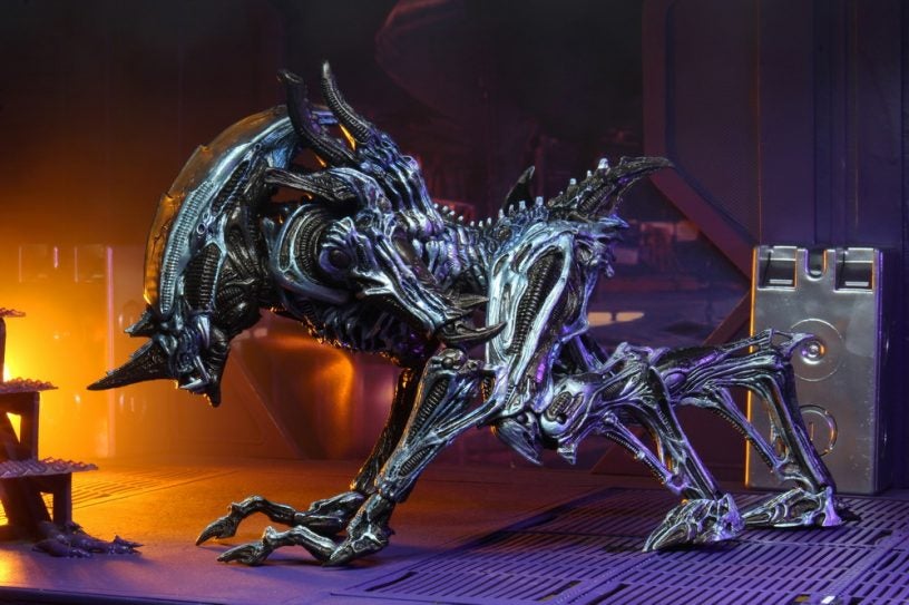 Rhino1
