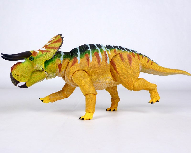 nasutoceratops27