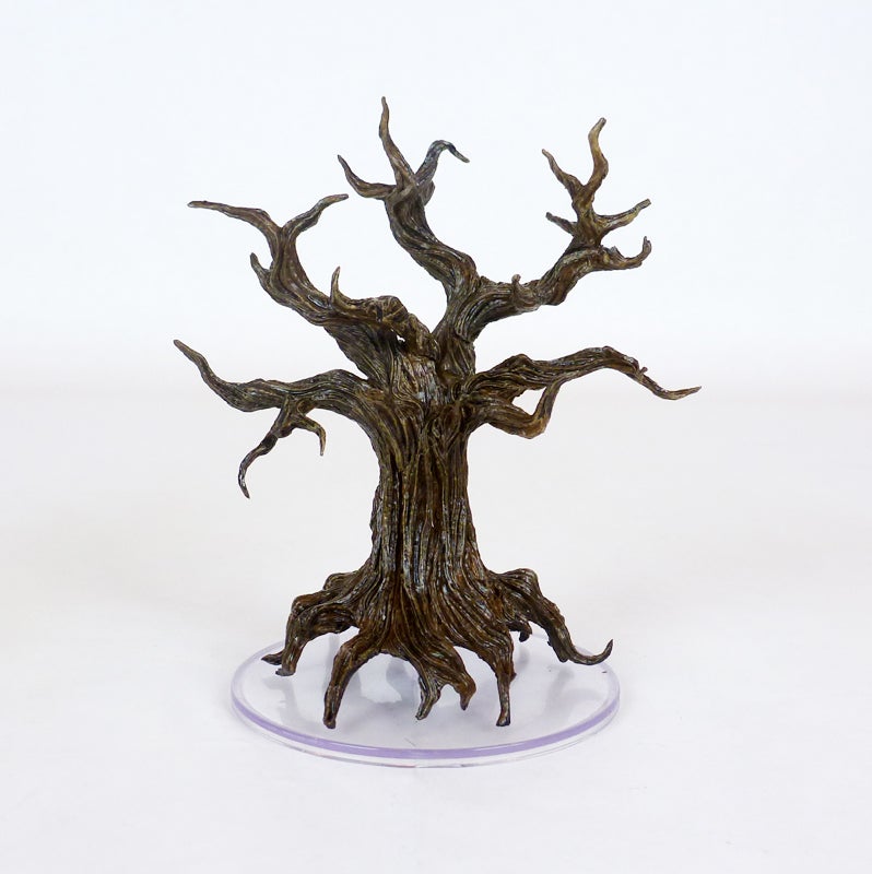 45 awakened tree1