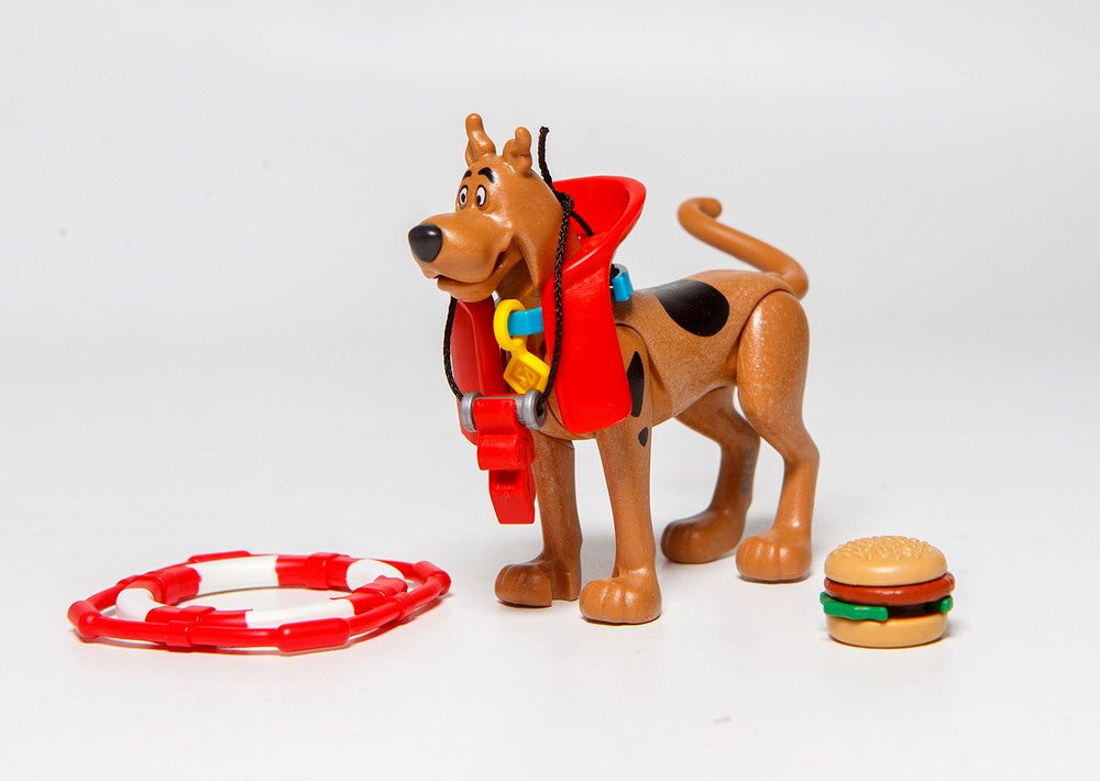 scoob_lifeguard_03_51535523751_o
