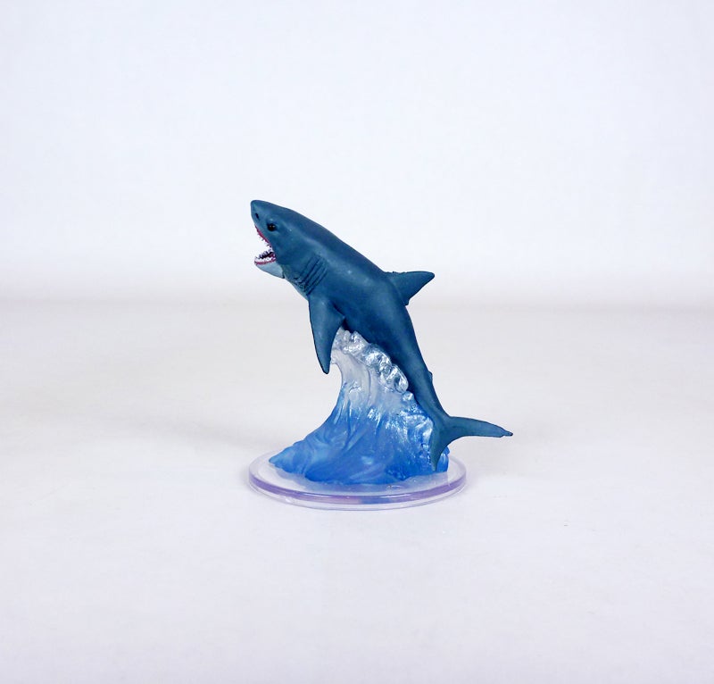 shark3