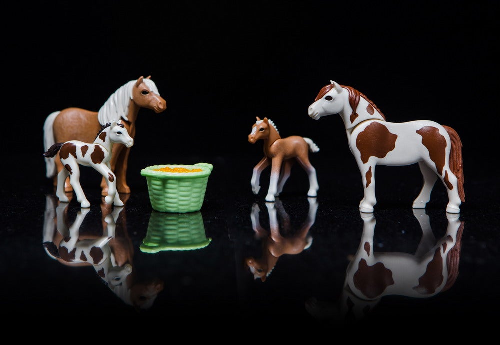 playmoponies-12_52118725929_o