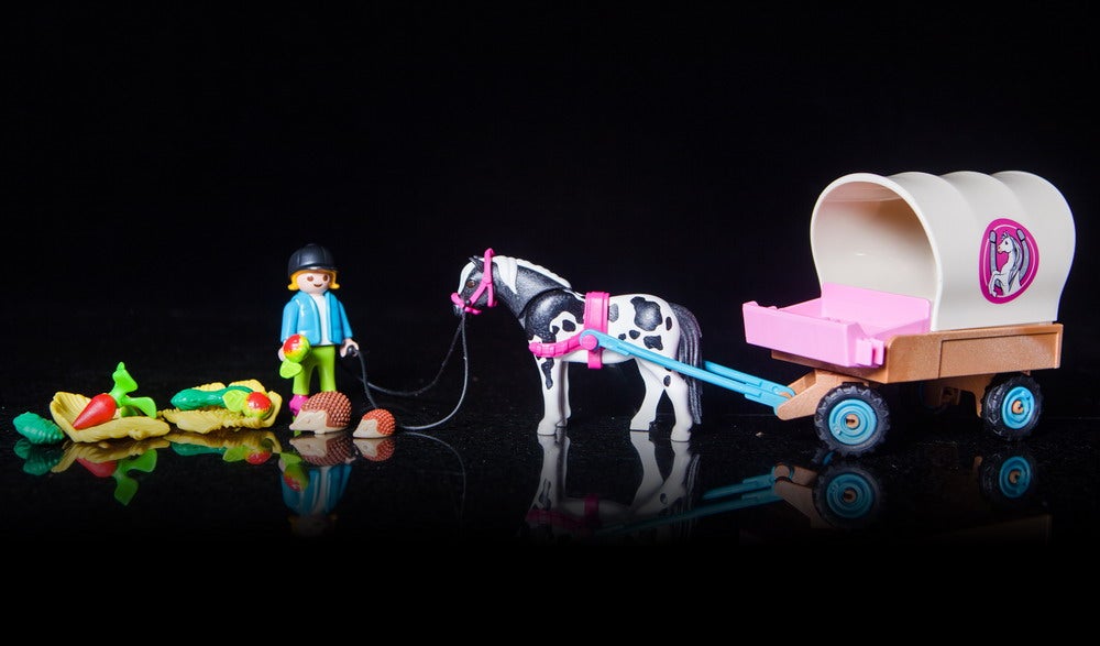 playmoponies-13_52118979215_o