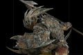 Armored Orc BDS_11