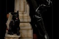 9cat
