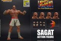 1560879535954_SAGAT set sdcc 2019 resize