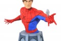 Spidey1