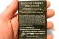 DSCN6125