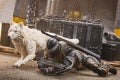 F4321_DIO_GIJ_CS_FIGURE_AND_PET_ARIEL_044_Online_2000SQ