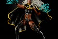 MARVEL LEGENDS SERIES X-MEN 6-INCH STORM AND MARVEL’S THUNDERBIRD Figure 2-Pack - oop (1)