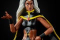 MARVEL LEGENDS SERIES X-MEN 6-INCH STORM AND MARVEL’S THUNDERBIRD Figure 2-Pack - oop (4)