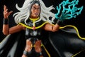 MARVEL LEGENDS SERIES X-MEN 6-INCH STORM AND MARVEL’S THUNDERBIRD Figure 2-Pack - oop (5)