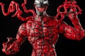 MARVEL LEGENDS SERIES 6-INCH VENOM Figure Assortment - Carnage (5)