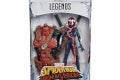 MARVEL LEGENDS SERIES 6-INCH VENOM Figure Assortment - Ghost Spider (in pck)