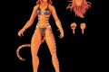 MARVEL LEGENDS SERIES 6-INCH TIGRA Figure_oop with logo