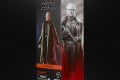 STAR WARS THE BLACK SERIES LUTHEN RAEL 2