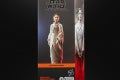 STAR WARS THE BLACK SERIES MON MOTHMA 1