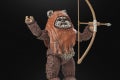 STAR WARS THE BLACK SERIES WICKET 11