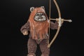 STAR WARS THE BLACK SERIES WICKET 12