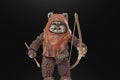 STAR WARS THE BLACK SERIES WICKET 13