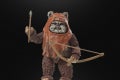 STAR WARS THE BLACK SERIES WICKET 14