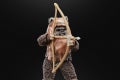 STAR WARS THE BLACK SERIES WICKET 2