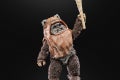 STAR WARS THE BLACK SERIES WICKET 5