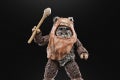 STAR WARS THE BLACK SERIES WICKET 6