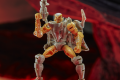 F0664xxxx_DIO_TRA_KINGDOM_ RATTRAP_2_Medium_72DPI
