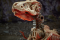 F0672xxxx_DIO_TRA_KINGDOM_PALEOTREX_5_Medium_72DPI