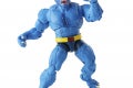 Marvel Legends Series Marvel’s Beast 3