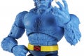 Marvel Legends Series Marvel’s Beast 6