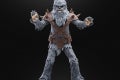 STAR WARS THE BLACK SERIES WOOKIE (HALLOWEEN EDITION) 3