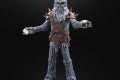 STAR WARS THE BLACK SERIES WOOKIE (HALLOWEEN EDITION) 8