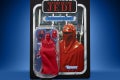 STAR WARS THE VINTAGE COLLECTION 3.75-INCH EMPORER’S ROYAL GUARD Figure - in pck (1)