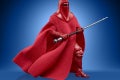 STAR WARS THE VINTAGE COLLECTION 3.75-INCH EMPORER’S ROYAL GUARD Figure - oop (1)