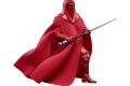 STAR WARS THE VINTAGE COLLECTION 3.75-INCH EMPORER’S ROYAL GUARD Figure - oop (2)