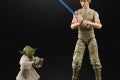 STAR WARS THE BLACK SERIES 6-INCH LUKE SKYWALKER AND YODA (JEDI TRAINING) DELUXE Figures - oop (1)