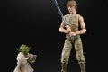 STAR WARS THE BLACK SERIES 6-INCH LUKE SKYWALKER AND YODA (JEDI TRAINING) DELUXE Figures - oop (5)