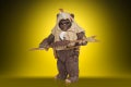 STAR WARS THE VINTAGE COLLECTION LUCASFILM FIRST 50 YEARS 3.75-INCH PAPLOO Figure - oop (5)