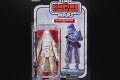 STAR WARS THE BLACK SERIES 40TH ANNIVERSARY 6-INCH Figure Assortment - IMPERIAL SNOWTROOPER - in pck