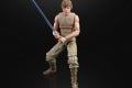 STAR WARS THE BLACK SERIES 40TH ANNIVERSARY 6-INCH Figure Assortment - LUKE SKYWALKER (DAGOBAH) - oop2