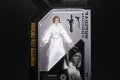 STAR WARS THE BLACK SERIES ARCHIVE 6-INCH PRINCESS LEIA ORGANA Figure - in pck (1)