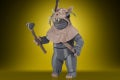 STAR WARS THE VINTAGE COLLECTION 3.75-INCH TEEBO Figure - oop (2)